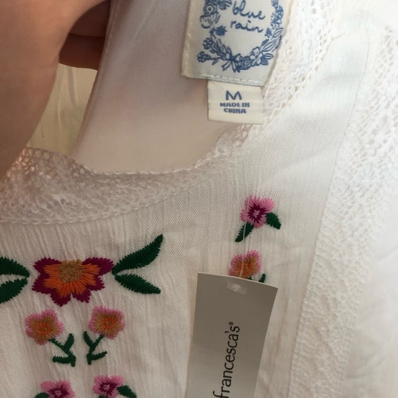 Lainey Embroidered Shift Dress - Picture 4 of 4